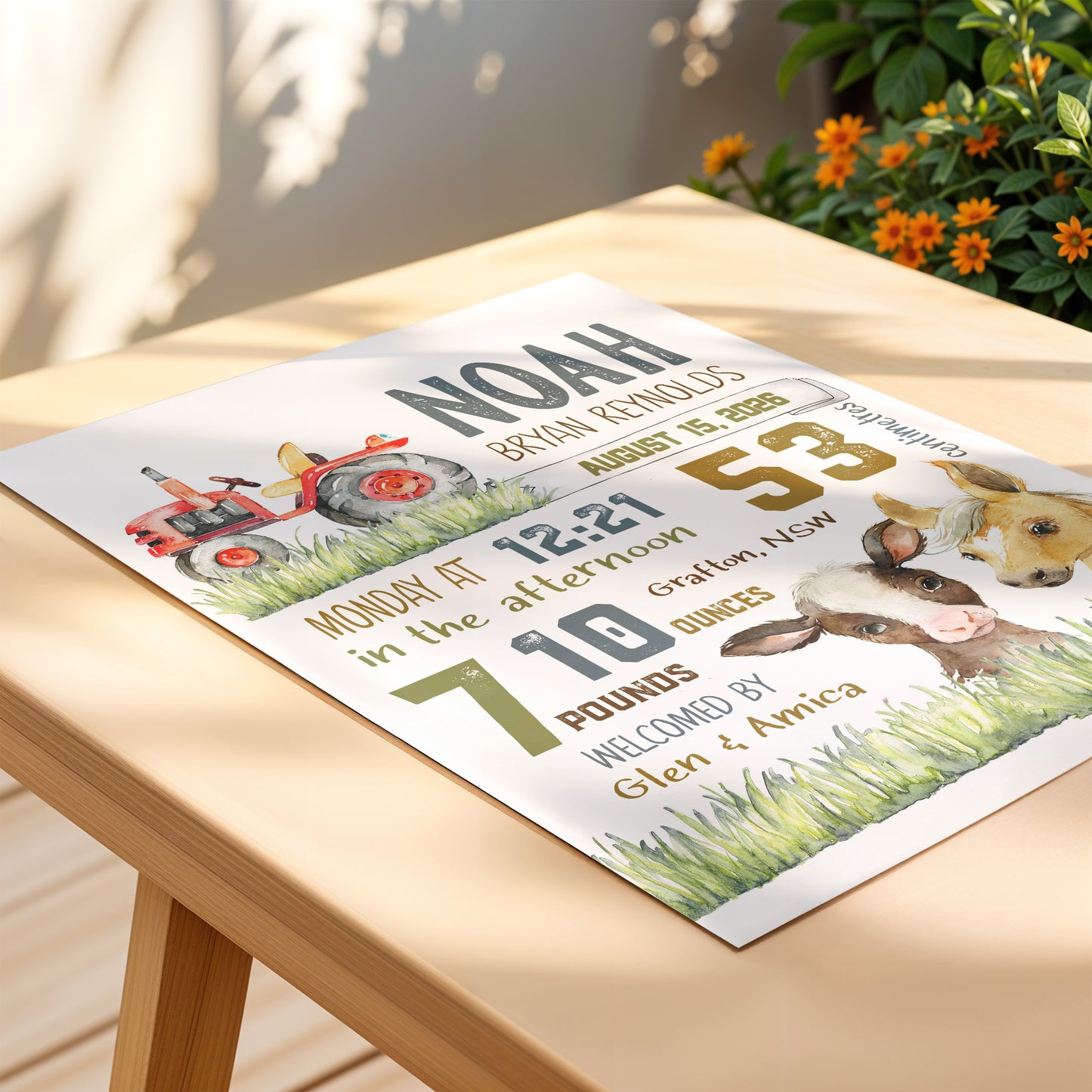 Printable Barnyard Birth Announcement – Custom Baby Nursery Wall Art