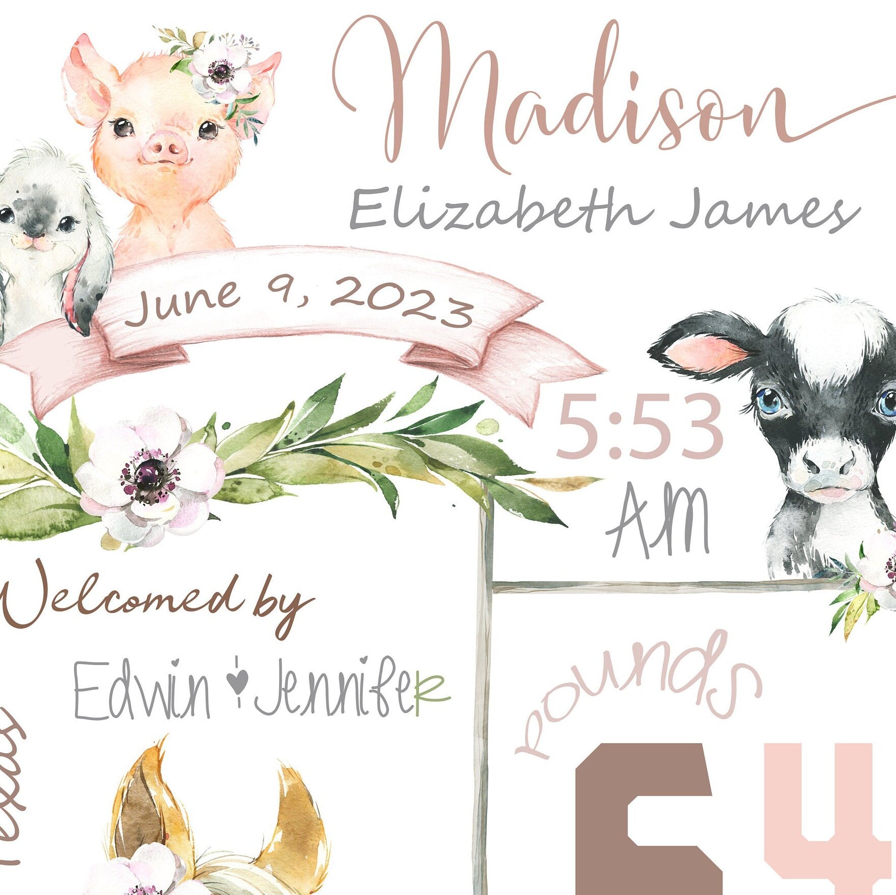 Baby Gift | Farm Birth Announcement | Nursery Birth details | baby girl gift personalized | baby shower keepsake | Wall Art | Nursery decor